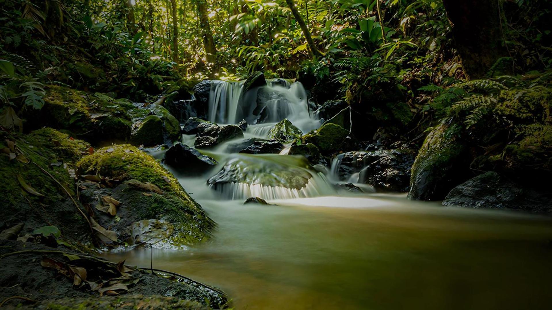 Hotel Fazenda Morros Verdes Ecolodge Ibiuna Bagian luar foto